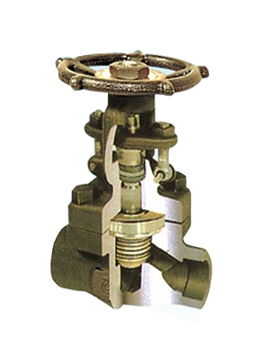 FORGED BELLOWS SEAL GLOBE VALVE